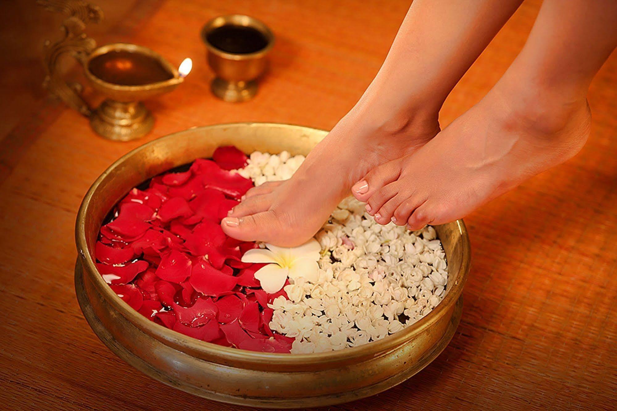 Elephant Court Thekkady Ngoại thất bức ảnh